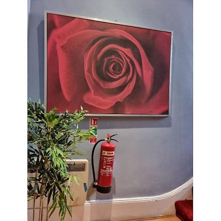 F301-Awesome 3Rd Flr Studio Fits 1 Near Hyde Park London Exterior photo